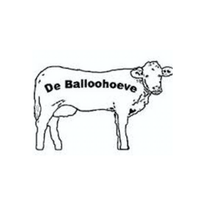 Logo de Balloohoeve